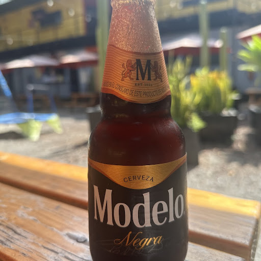 Modelo Negra