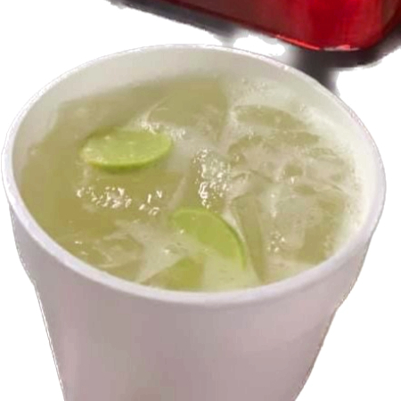 LIMONADA MINERAL 1LT
