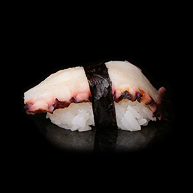 Pulpo