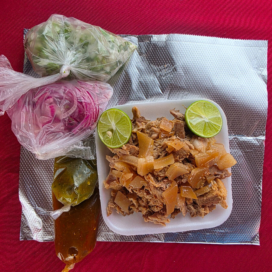 1/4 CARNITAS SURTIDA