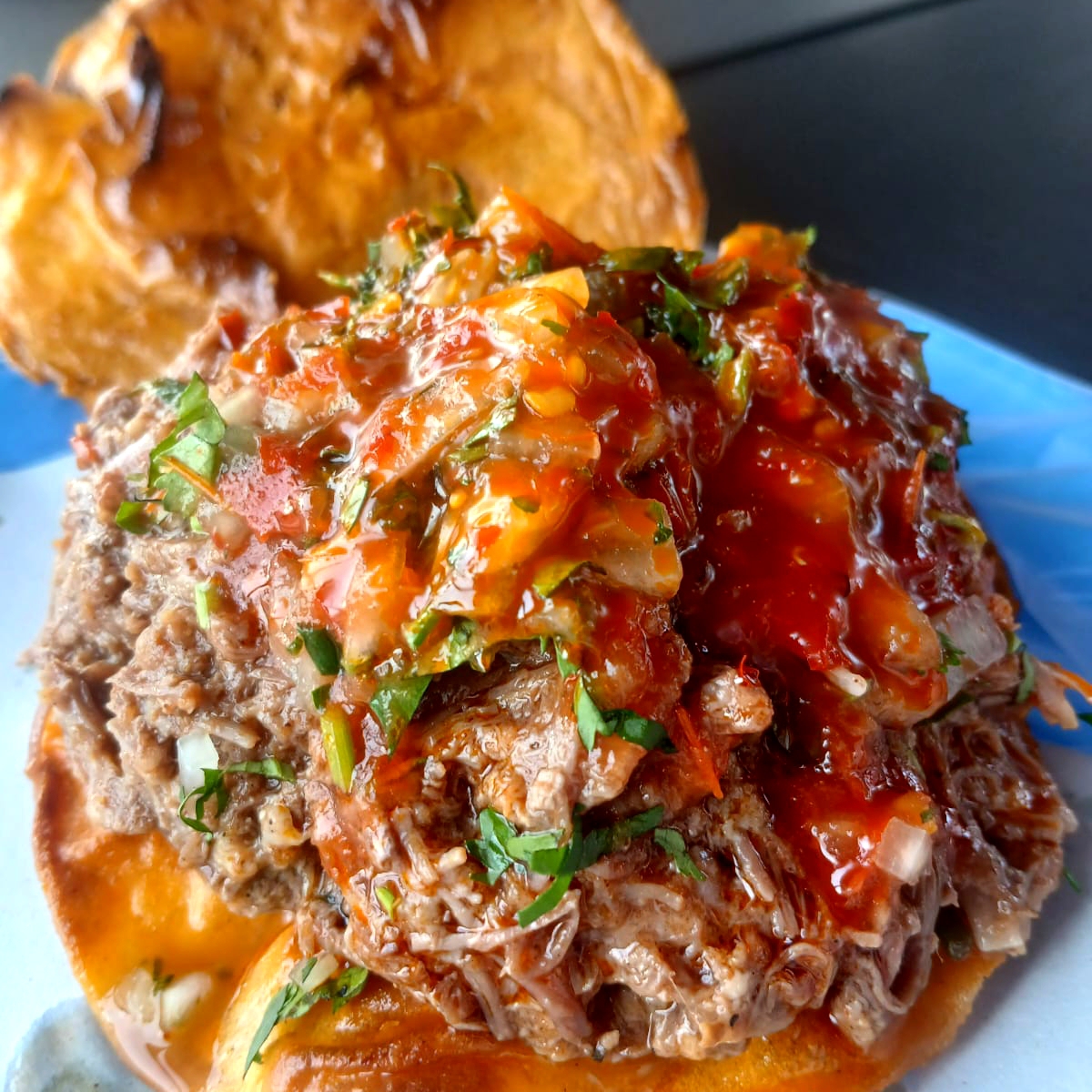Tostada de Birria
