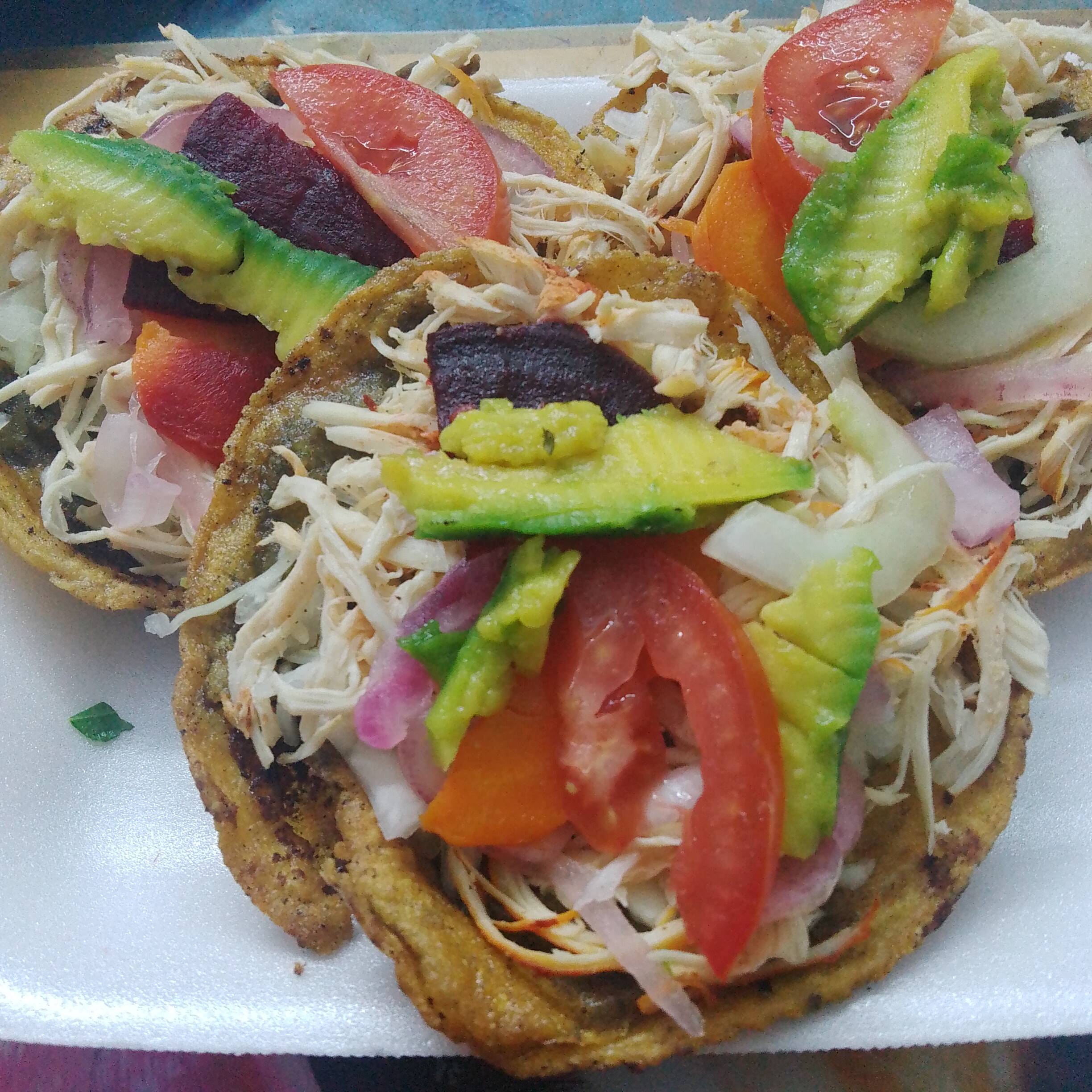 PANUCHO TIPICO REGIONAL