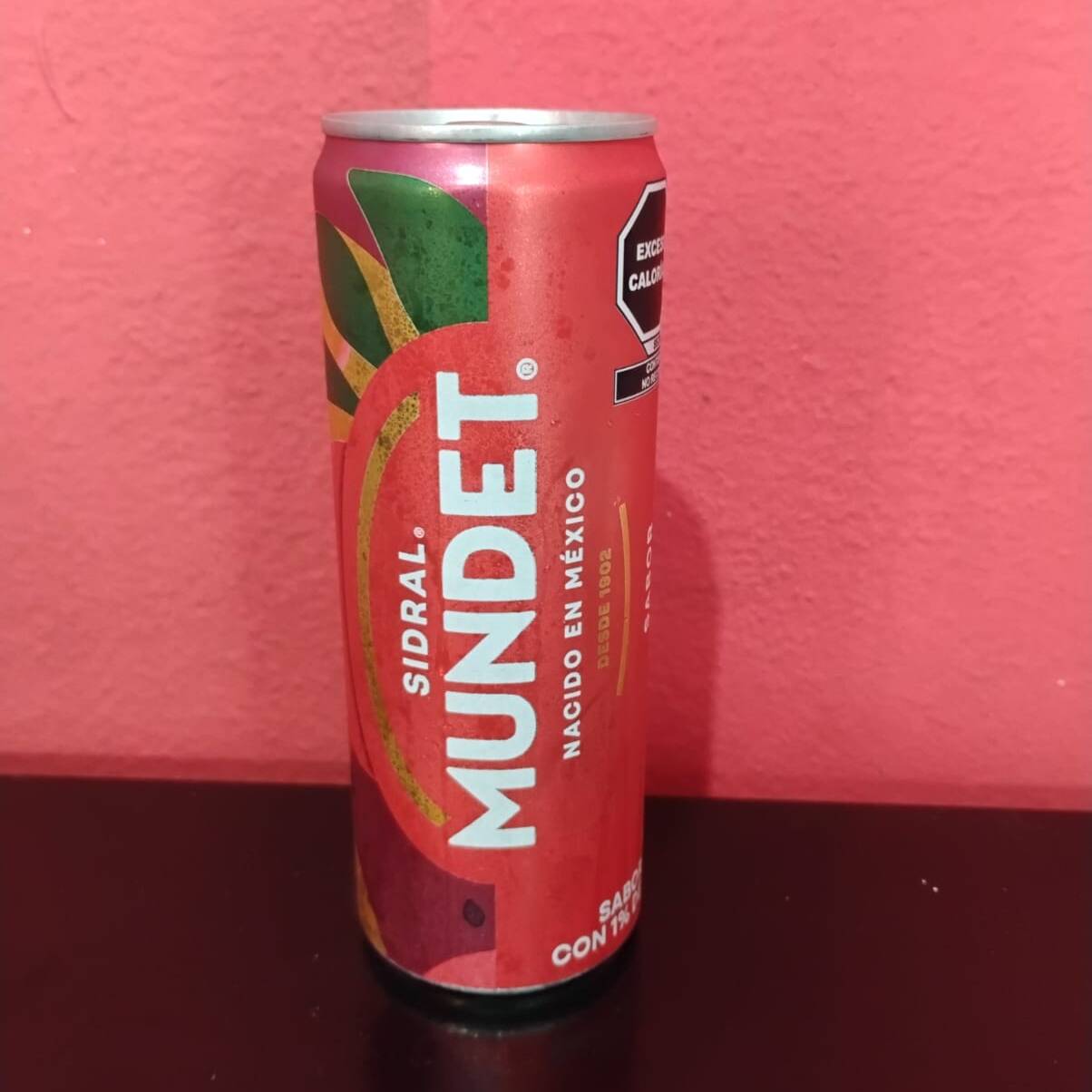 Sidral Mundet Lata 355ml