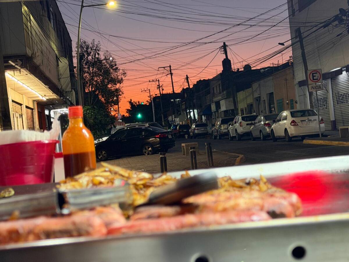 Hamburguesas y Hot Dog chino junior