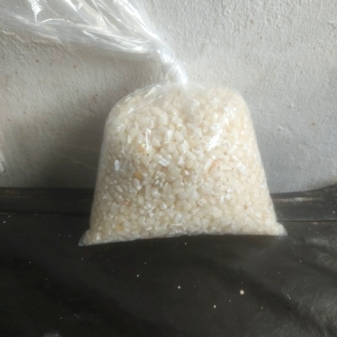MUCUNZÁ (CRU) EM GRÃOS