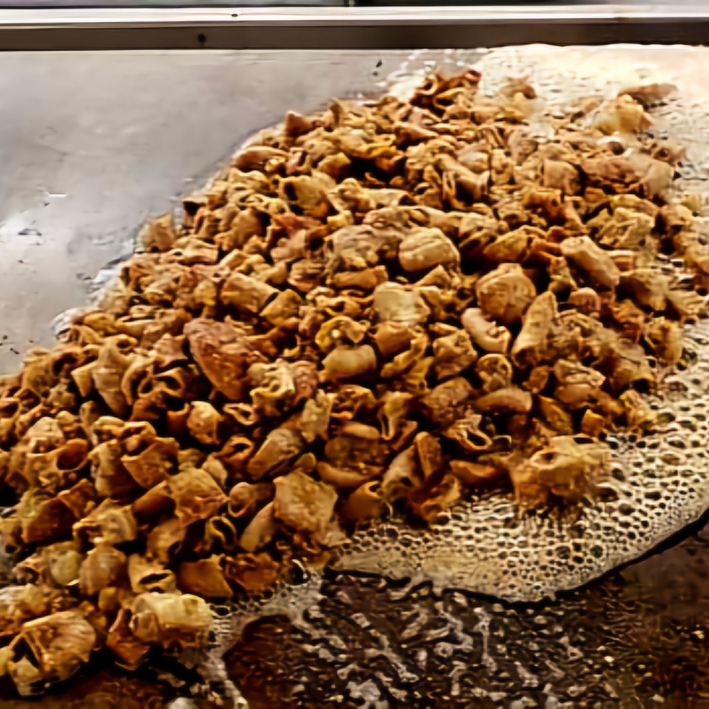 1/2 kg de Costilla