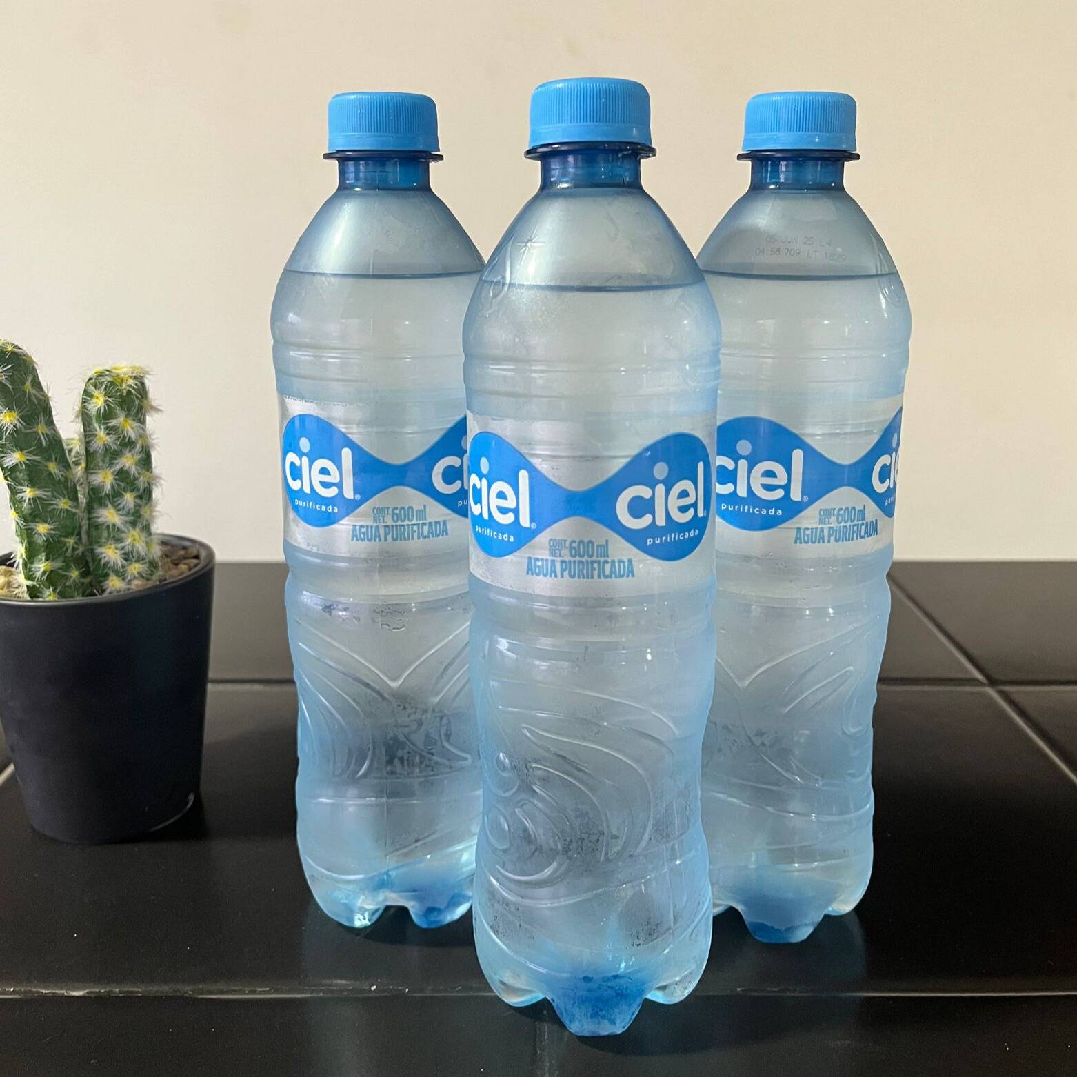 Agua Embotellada Ciel 600 Ml