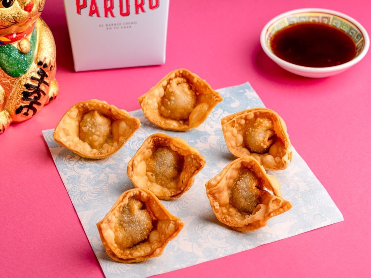 Wantan de Pollo x6