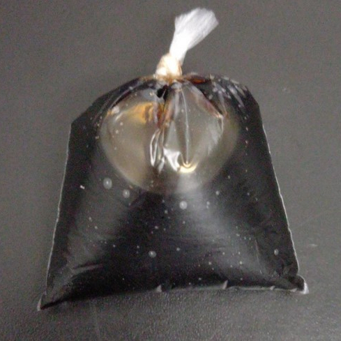 molho teriaki da feito pela empresa , deliciosooooooo