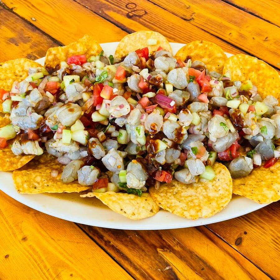 TOSTICEVICHES
