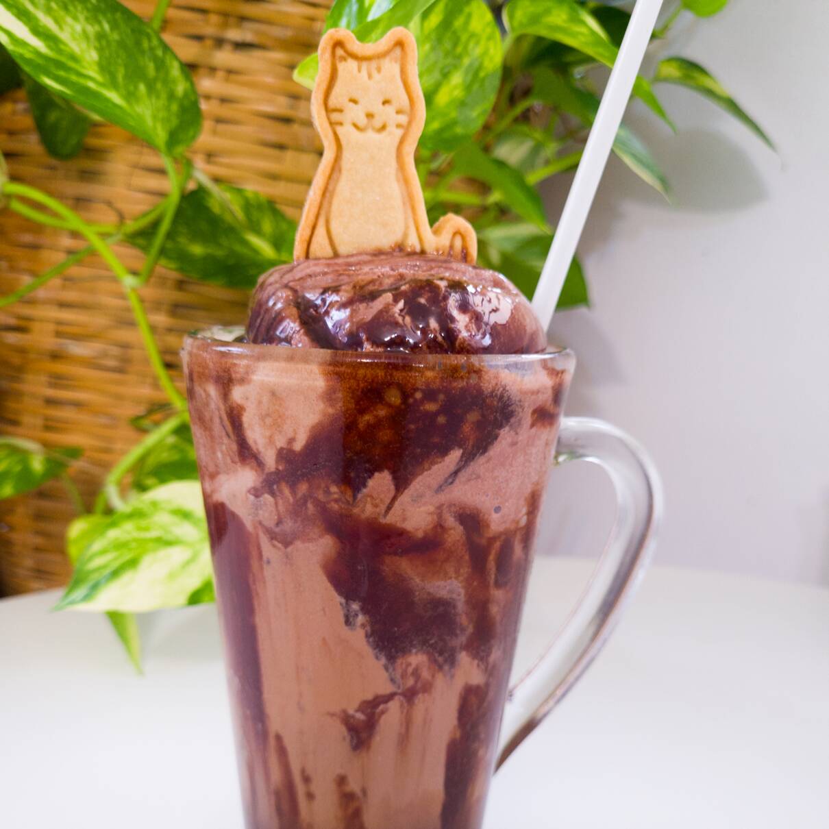 Chocokoye