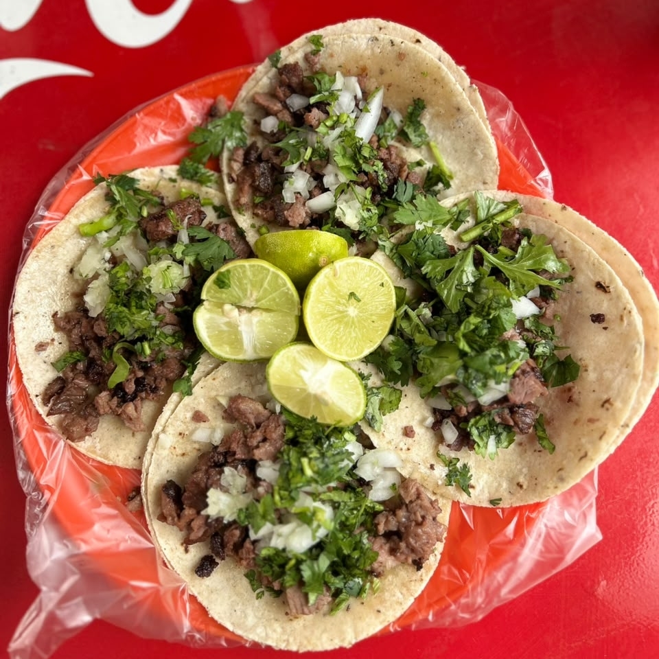 Tacos de Arrachera X5