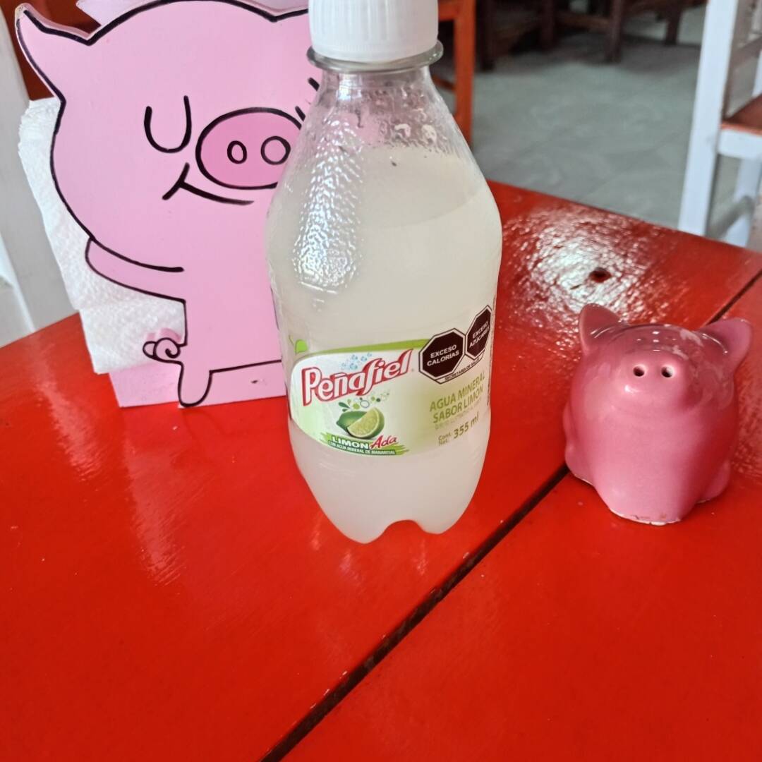 Limonada peñafiel Pet 355 ml