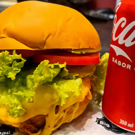 X salada + coca cola 350 ml