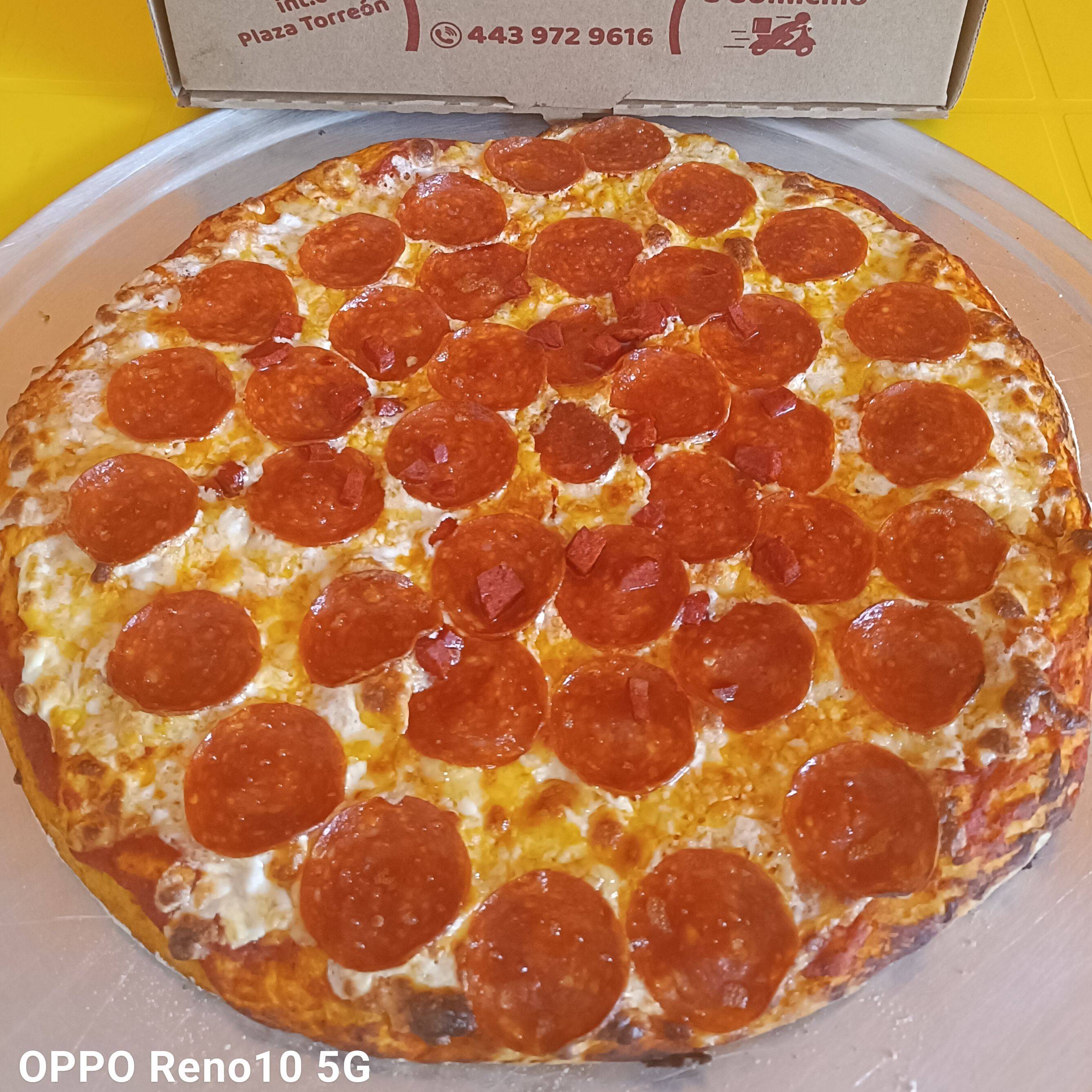 Pizza Especial Grande