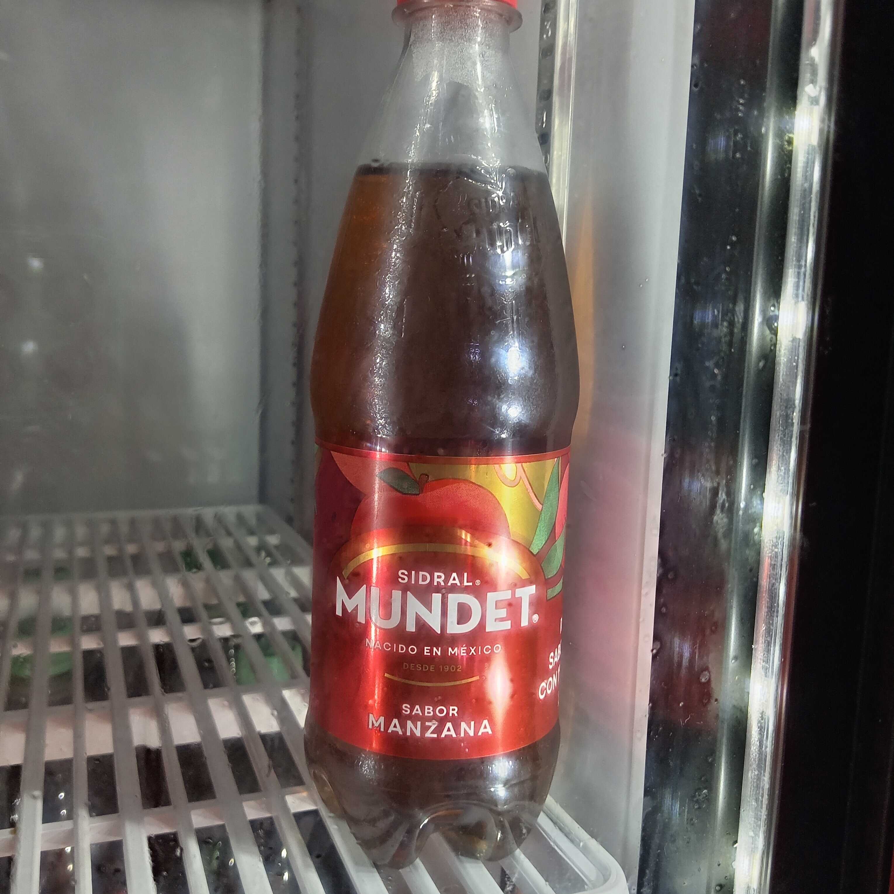 Sidral Mundet Manzana 600ml