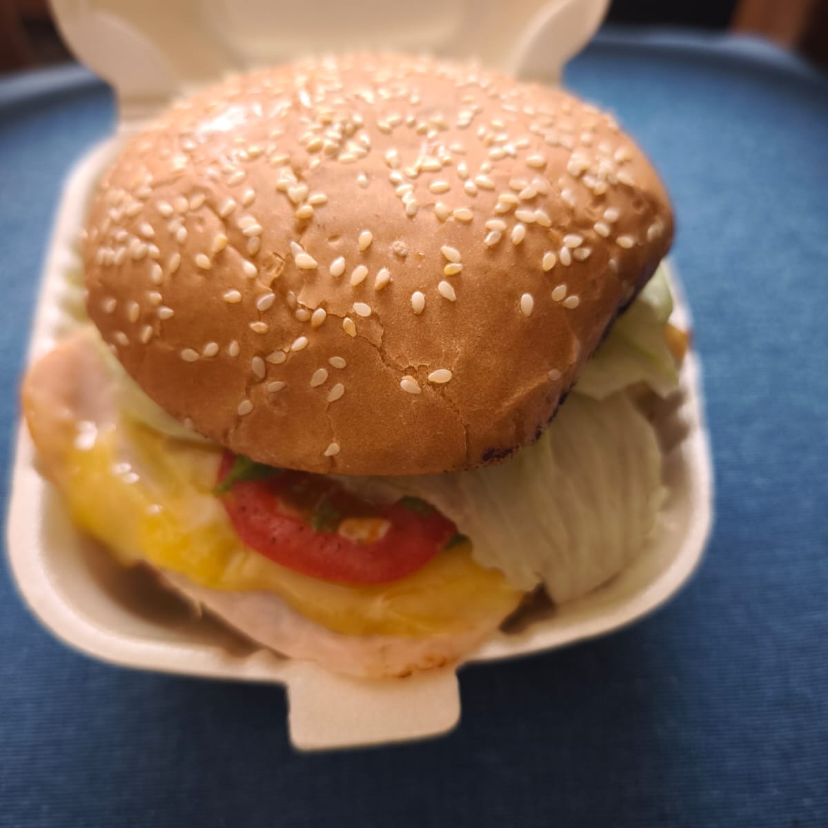 Hamburguesa sencilla