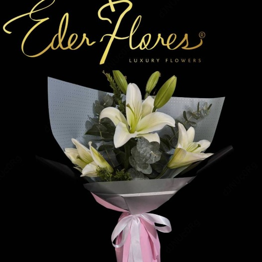 Lili Oriental Blanca Estilo Coreano de 2 Tallos