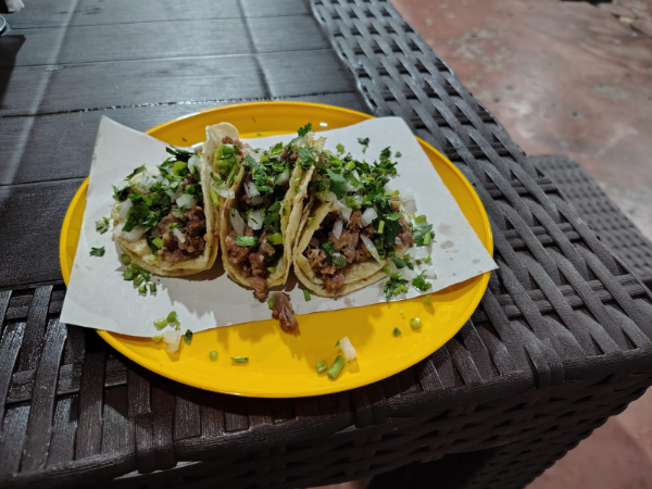 Tacos De Suadero El Goldito