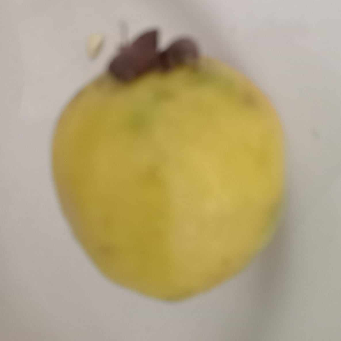 Guayaba