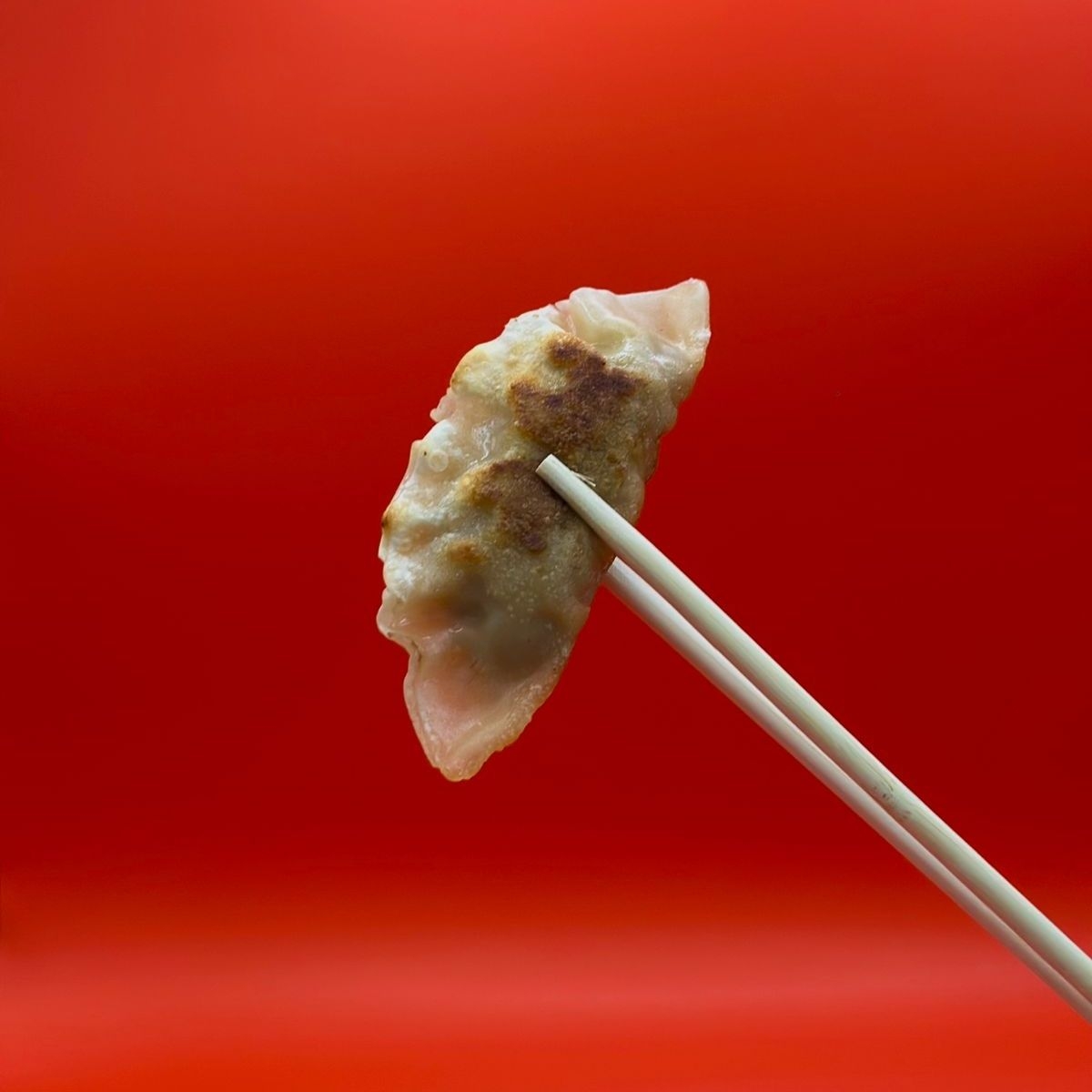 Mandú/Jiaozi 5 pzas