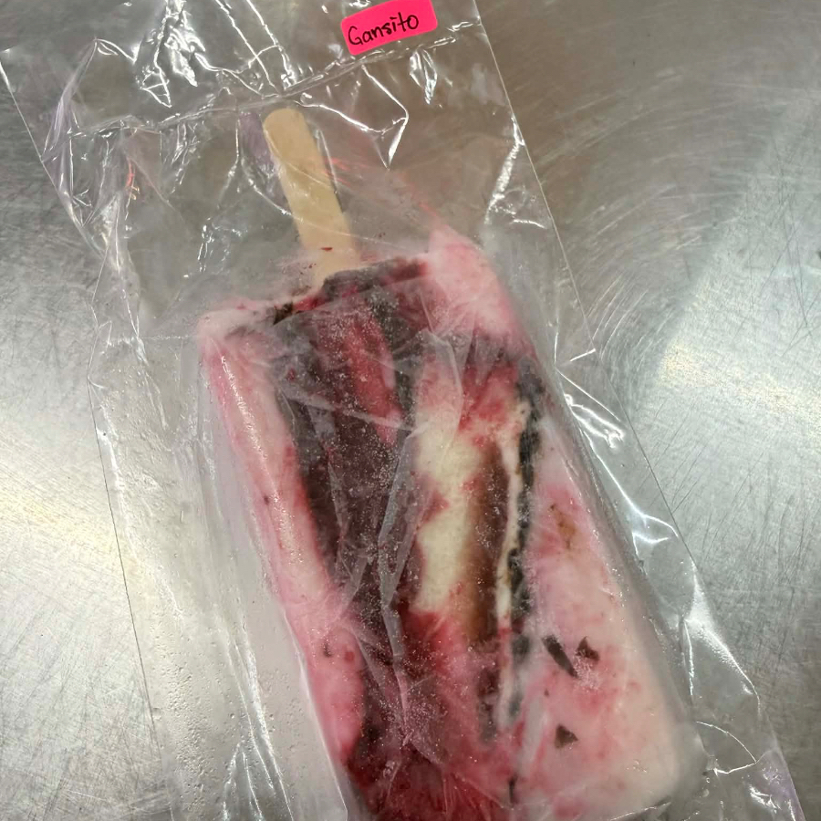 Paleta de Gansito