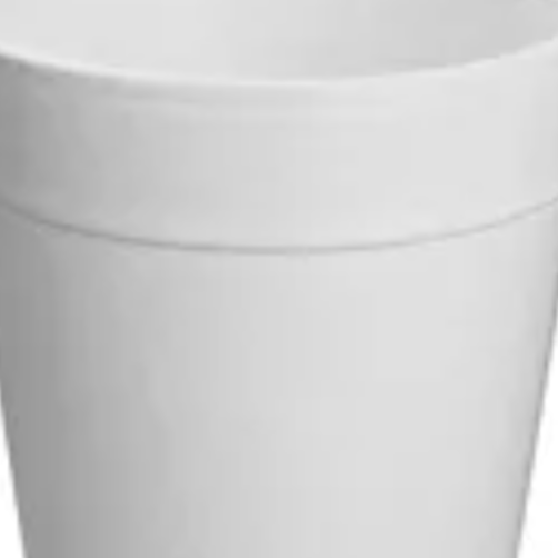 Vasos Desechable de Litro 5pz