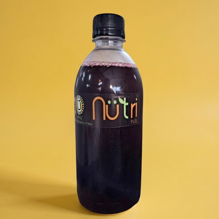 Agua de Jamaica 500 ml