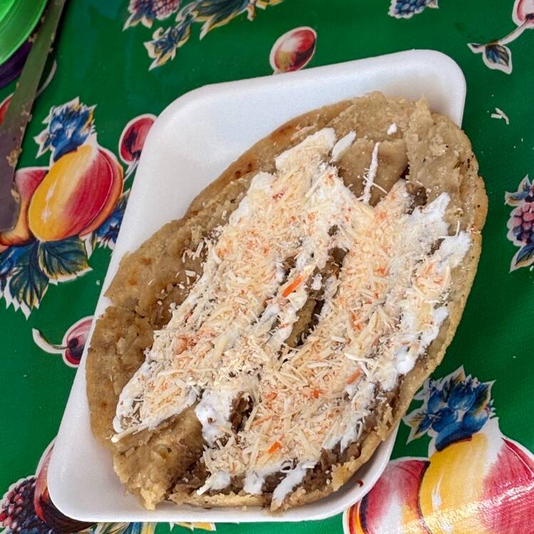 Gorda De Frijol