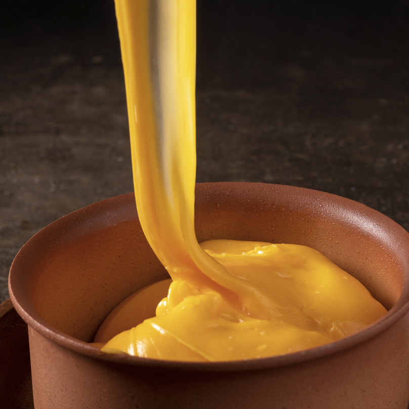 QUESO CHEDDAR EXTRA