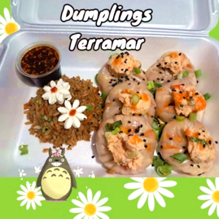 Dumplings Terramar