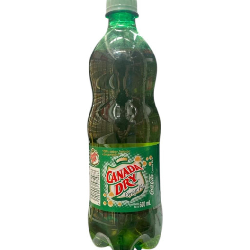 Ginger Ale 600 Ml