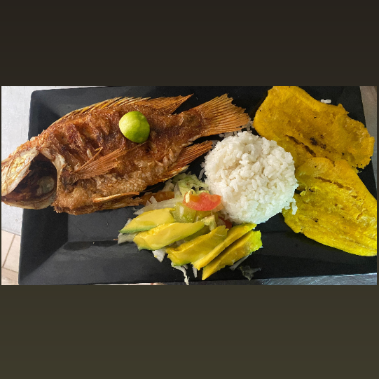 Bandeja Playera Mojarra