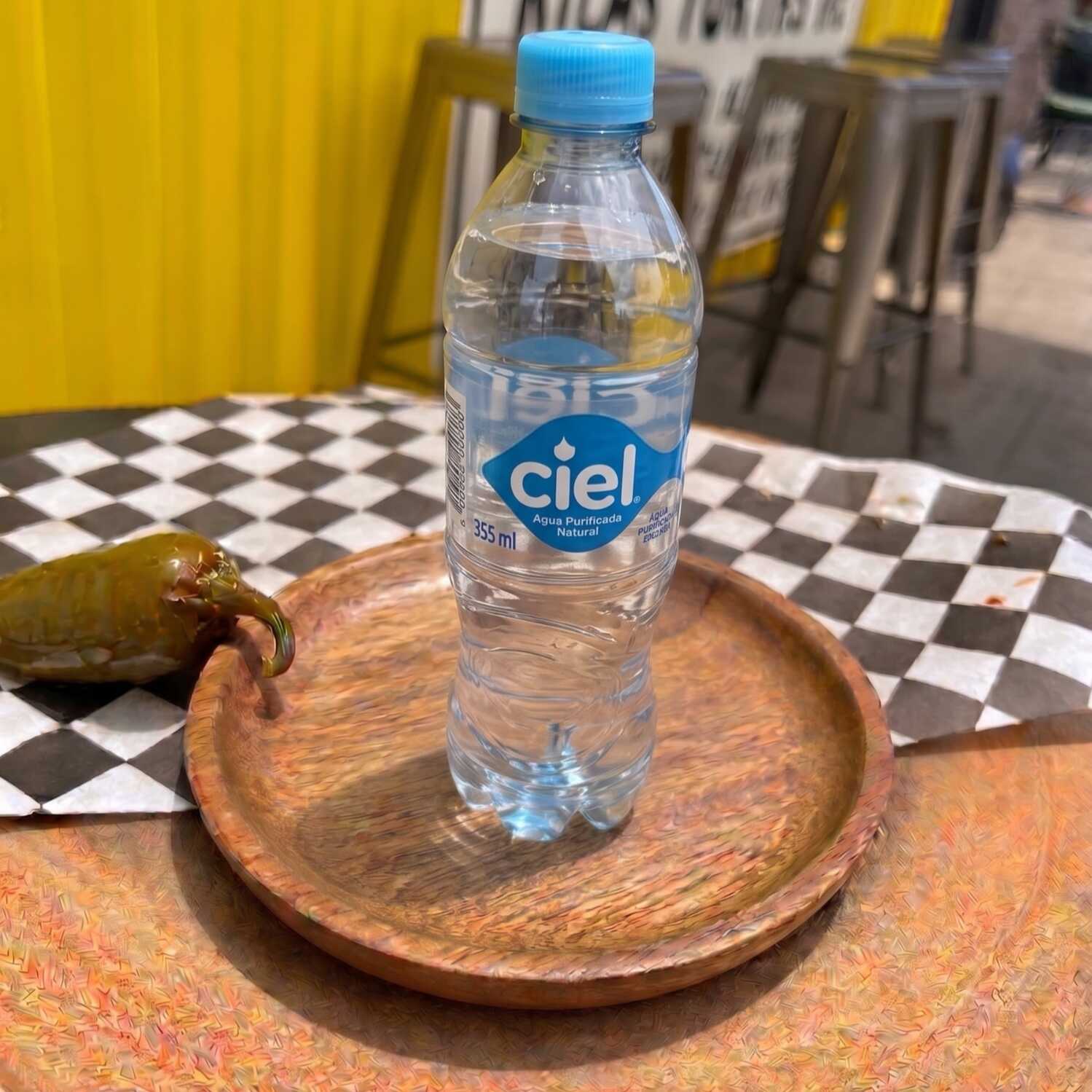 Botella de Agua 350 m