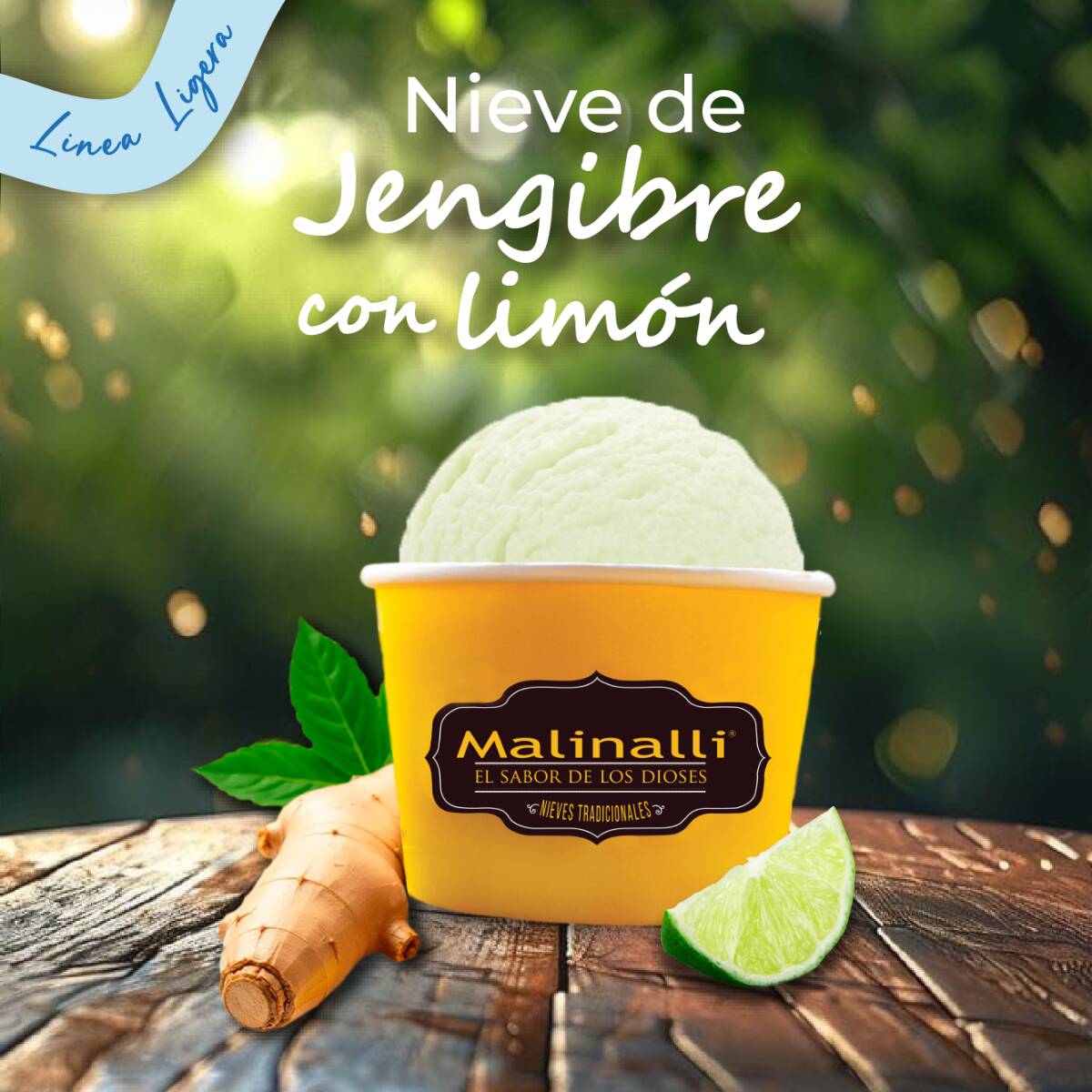 Litro de Nieve (Línea Ligera)