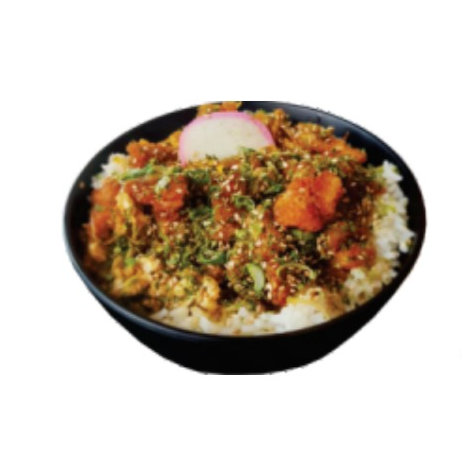 Katsudon