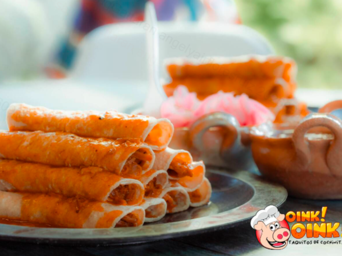 Oink Oink Taquitos Xalapa Araucarias