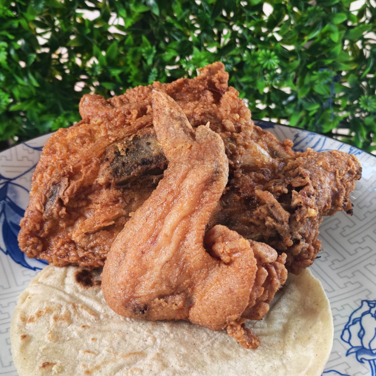 Pollo Frito