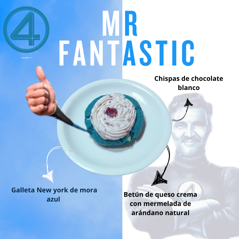 MR FANTASTICO NY