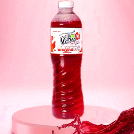 Agua de Jamaica 500ml