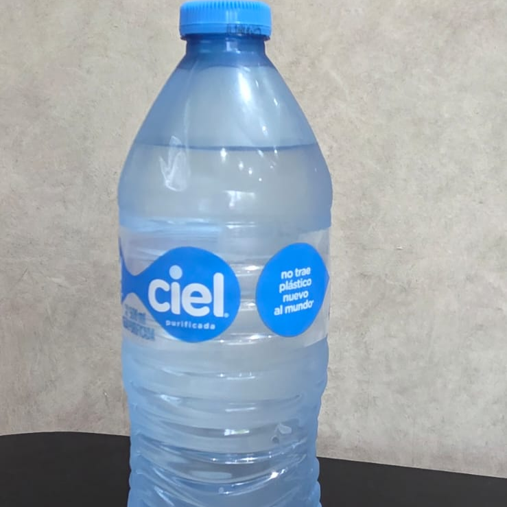 Agua Embotellada 500ml