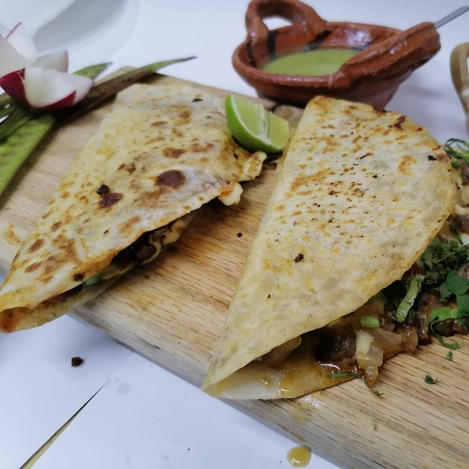 Oaxaquita de Tripa