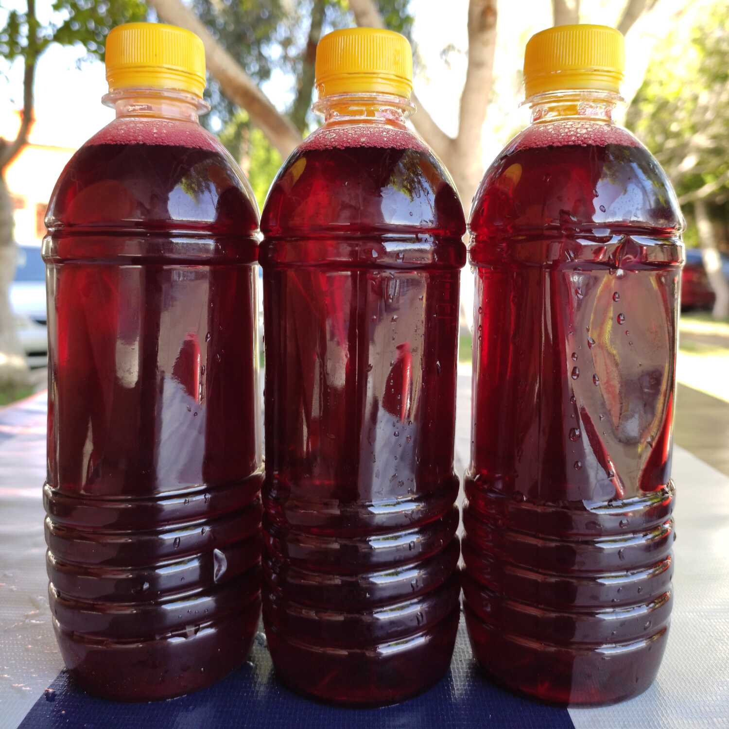 Agua de Jamaica