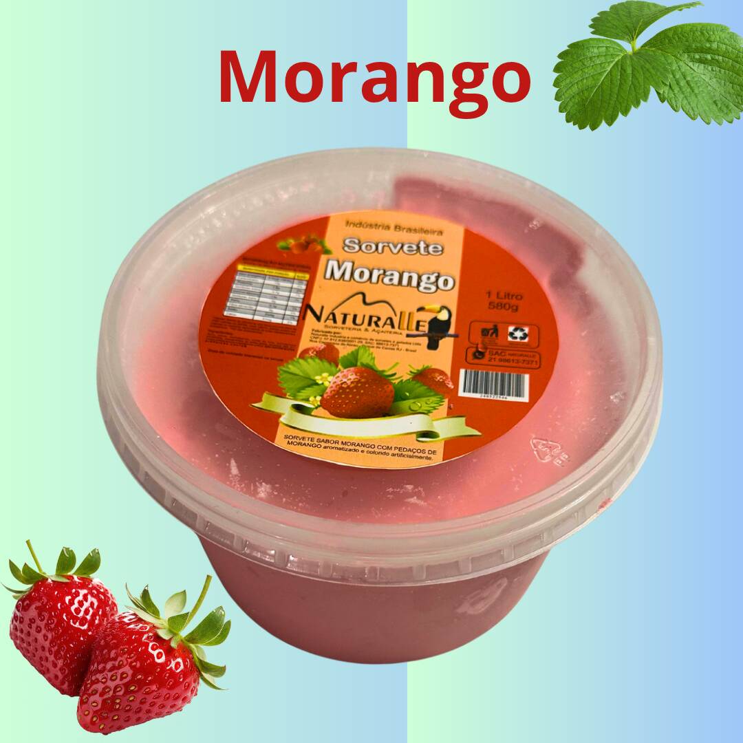 1 LITRO. SORVETE SEM GORDURA HIDROGENADA