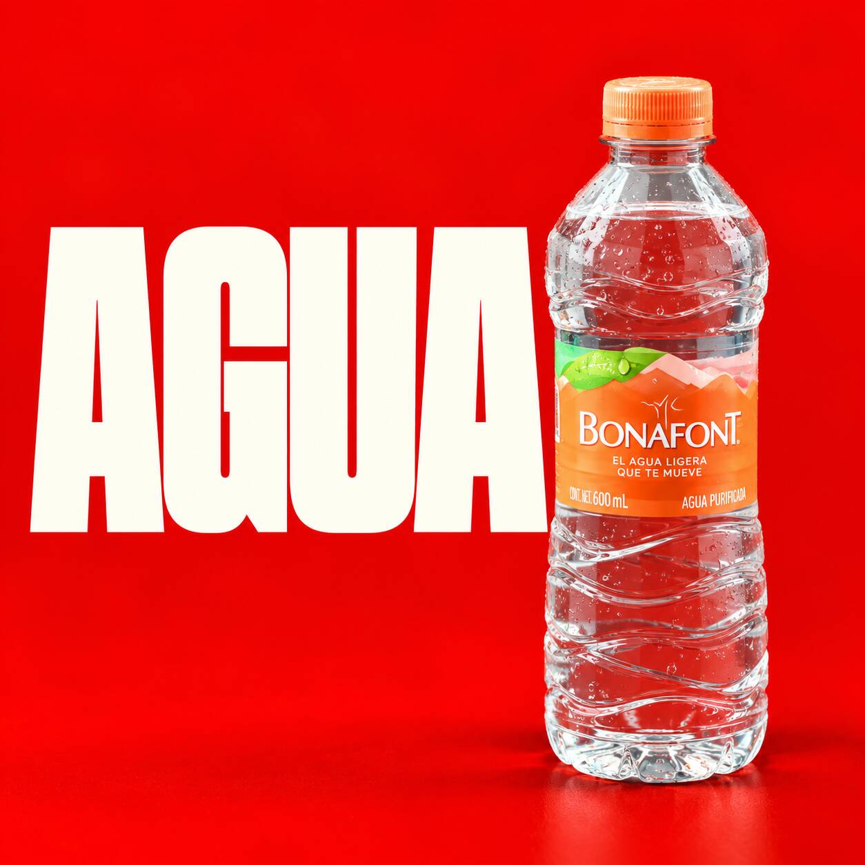 Agua Embotellada 500 ml