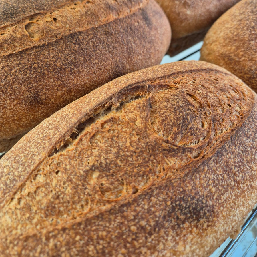 Água, farinha integral e sal