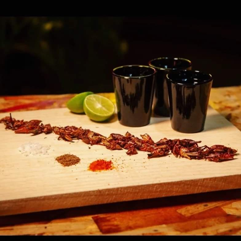 Chapulines