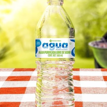 Agua Embotellada 355ml