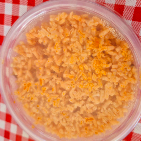 Arroz