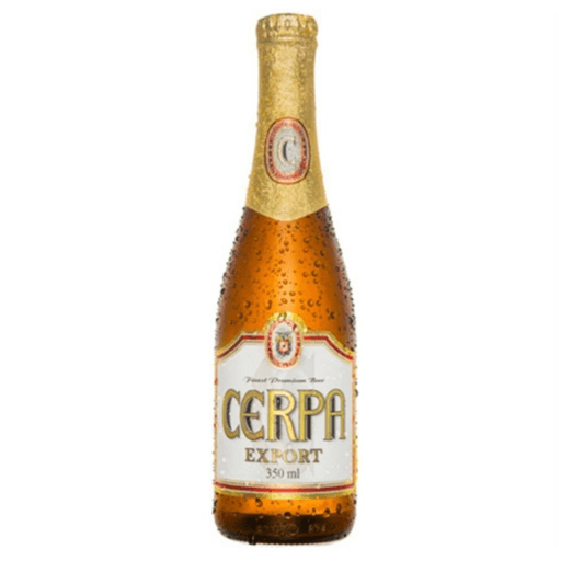 Escolha sua opção favorita.